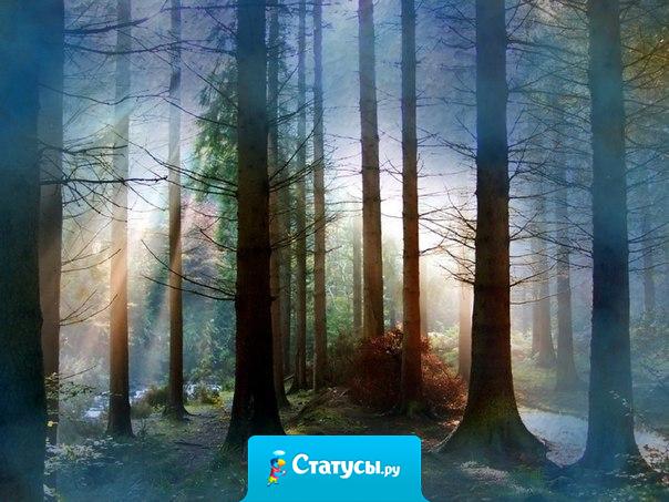 Красота мира, начинается с красоты твоей души.