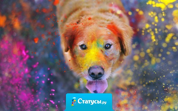 Единственная разница между хорошим и плохим днем - твое отношение к нему. Позвольте этому дню быть хорошим.