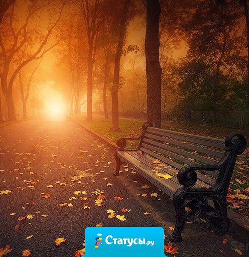 Большая часть нашей жизни уходит на ошибки и дурные поступки; значительная часть протекает в бездействии, и почти всегда вся жизнь в том, что мы делаем не то, что надо.