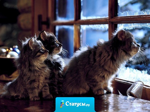 То, во что вы верите и чего ожидаете всей душой и всем сердцем, обязательно произойдет.