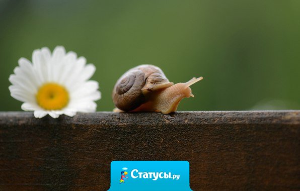 Не важно, каким путём ты идёшь. Важно совсем другое. Счастлив ли ты, проходя его?