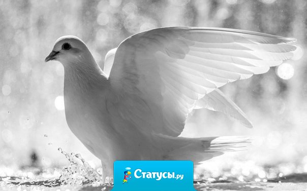 Если Вы отпускаете человека и он к Вам возвращается — он Ваш, если нет — он никогда Ваш не был.