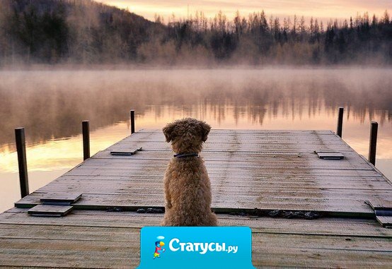 Никогда не напоминайте людям о себе, тем, кому вы действительно нужны, о вас никогда не забудут.