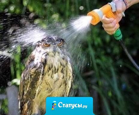 Выдержка - единственный способ выжить в мире идиотов.