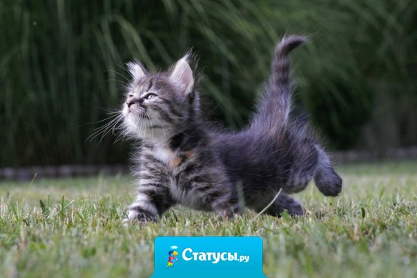 Относитесь ко всему с позитивом, если вас кто-то послал - почувствуйте себя важным посланником.