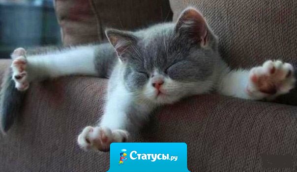 Какая разница во сколько засыпать, если по утрам одинаково не хочется просыпаться!