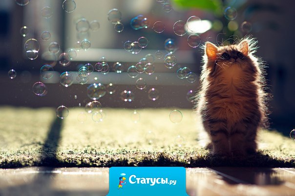 А я верю в чудеса... Так мне гораздо приятнее жить!