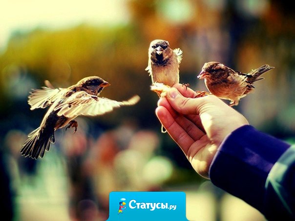 Люди постоянно придумывают себе проблемы. Почему бы не придумать себе счастье?!