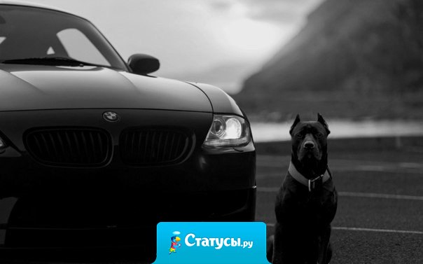 Не предает лишь автомобиль и собака.