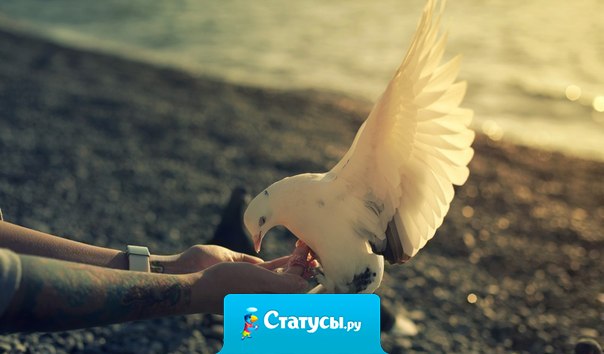 Если вы хотите любви, научитесь дарить любовь. Не ждите ее. Осознайте, что любовь уже есть. Она в вас! Станьте любовью, дышите любовью, улыбайтесь с любовью и дарите любовь! Ибо все, что мы отдаем, мы получаем назад приумноженным.