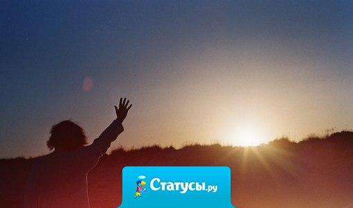 Через двадцать лет вы будете более сожалеть о том, чего не сделали, чем о том, что вы сделали. Поэтому отбросьте сомнения. Уплывайте прочь от безопасной гавани. Исследуйте. Мечтайте. Открывайте.