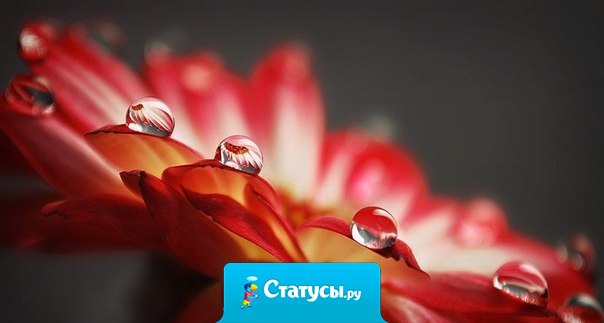 Кто не умеет получать радость от малого, никогда не будет доволен и многим.