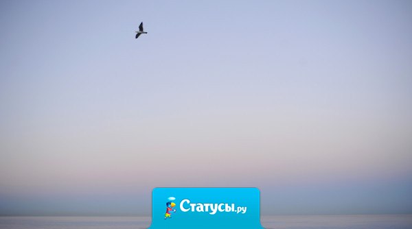 Основа всякой мудрости — есть терпение.