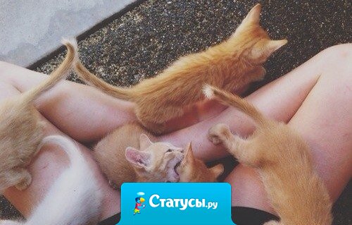 Красота заключается не в том, чтобы иметь красивое лицо. А в том, чтобы иметь красивые мысли, красивое сердце и красивую душу.