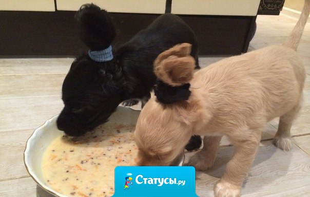 Чтобы ушки на запачкать.