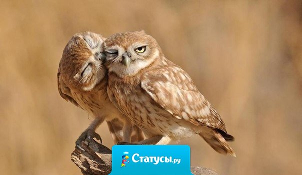 Терпение — единственный способ выжить в мире идиотов.