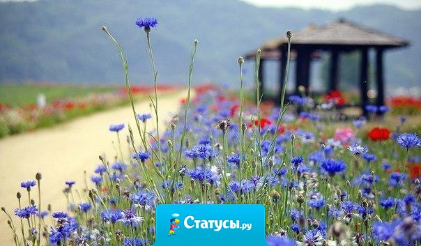 Каждый идет своим путем. Но все дороги всё равно идут в никуда. Значит, весь смысл в самой дороге, как по ней идти… Если идешь с удовольствием, значит, это твоя дорога. Если тебе плохо – в любой момент можешь сойти с нее, как бы далеко ни зашел. И это будет правильно.