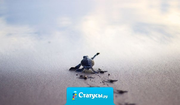 Раз уж начал — побеждай.