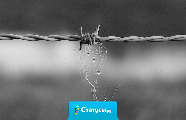 Разница между ложью и правдой в том, что у лжи всегда есть свидетели, а у правды — никогда.