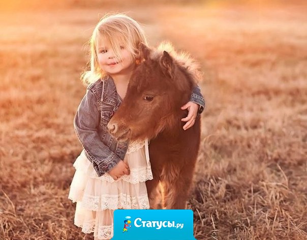 Люби всех, доверяй избранным, не делай зла никому...