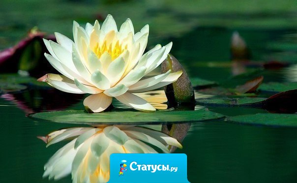 Имейте терпение. Пусть грязь осядет, и вода станет чистой, тогда правильные действия станут напрашиваться сами собой.