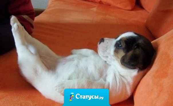 Куплю себе собаку. Назову ее Хорошо. Вот приходишь домой, а там всегда Хорошо.