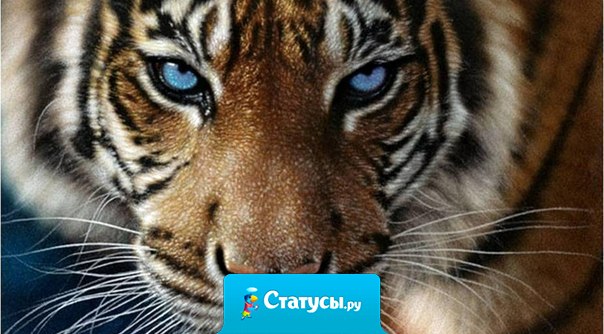 Вами управляет тот, кто вас злит.