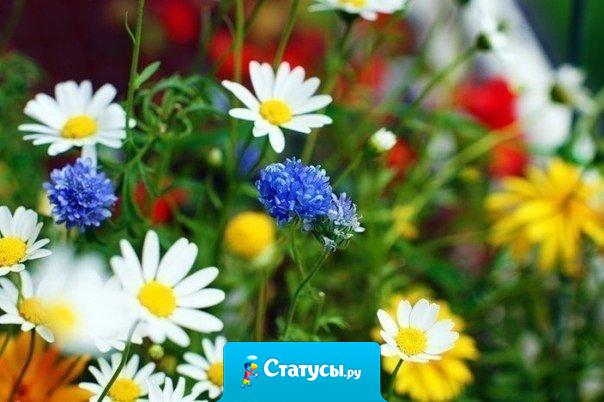 Попроси любви и веры, силы всех простить и жить, чтобы сердце не черствело... Попроси... себя простить.