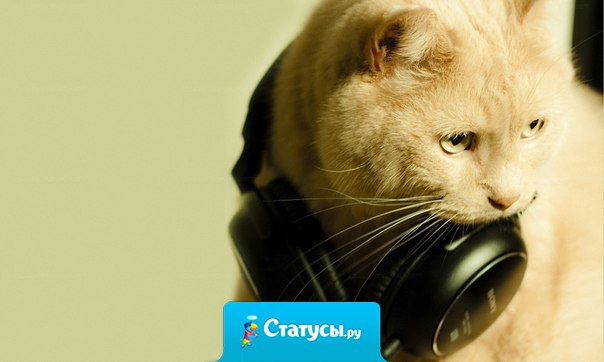 Музыка существует не для того, чтобы спасти мир. Она существует для того, чтобы спасти твою жизнь.