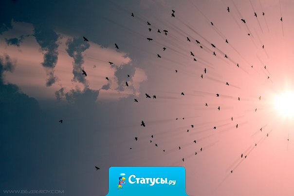 Иногда я говорю, что влюбленность - это захватывающее начало, а любовь - скучное продолжение. Люди, пережившие любовные муки, не торопятся примерять свои фантазии к реальности. 