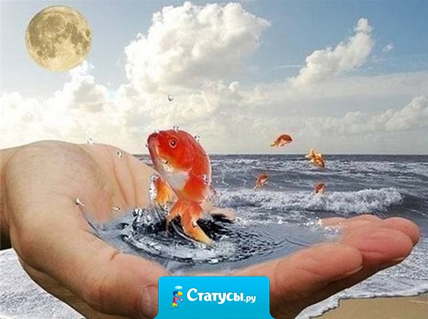 Жди новый день, как маленькое чудо - и он удачу непременно принесет, и помни счастье прячется повсюду, лишь позови - оно тебя найдет!