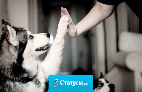 Все люди появляются в нашей жизни не просто так. Одни приносят счастье, а другие опыт и закаленный характер.