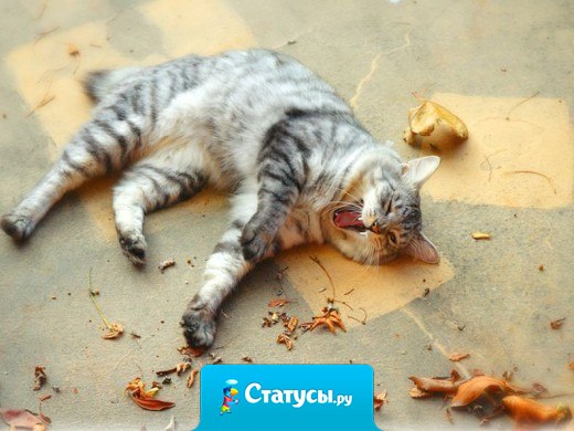 При виде дивана хочется лечь... При виде воды - пить... Еды - есть... А вот с работой что-то не так!