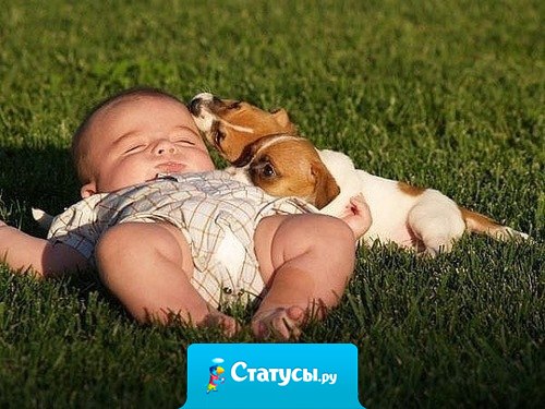 Счастье нельзя купить, но его можно родить! 