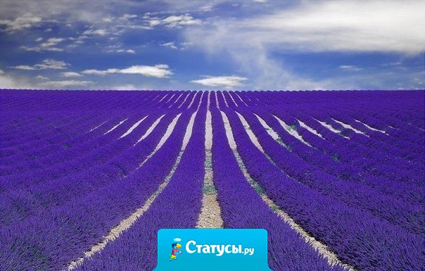 Научись находить в жизни радость — вот лучший способ привлечь счастье.