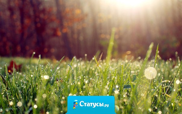 Вчерашний день — это история. Завтрашний — загадка. Сегодняшний — подарок.