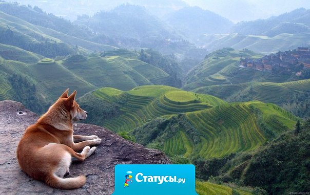 В жизни много удивительного, но если спешить, можно ничего не заметить. Чудеса рядом! Стоит только присмотреться...