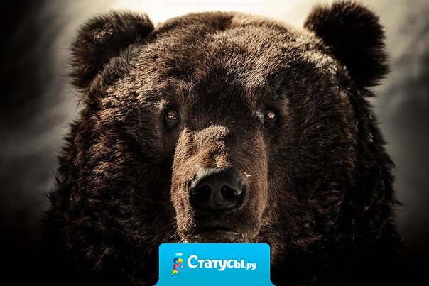 Самая плохая черта, которая есть во всех людях - это забывать о всех хороших поступках после одной ошибки.