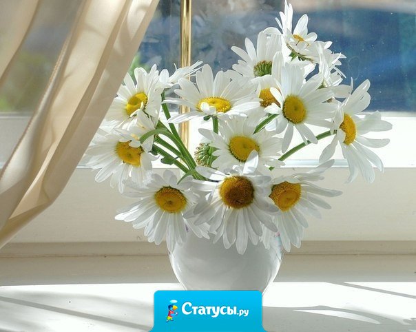 Только подарок без повода — есть настоящий подарок.