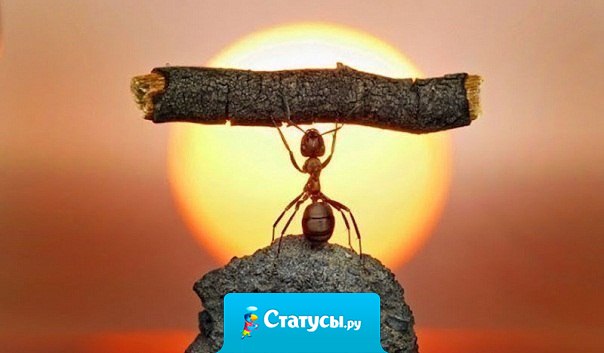 Возможно все. На невозможное просто требуется больше времени. 