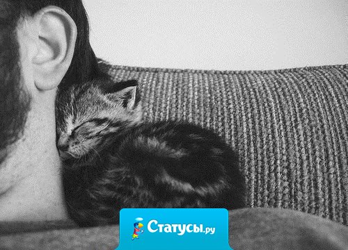 Пока человек чувствует боль - он жив. Пока человек чувствует чужую боль - он человек!