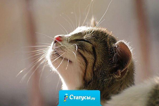 Жизнь не в том, чтобы жить, а в том чтобы чувствовать, что живешь.