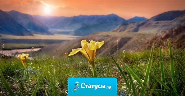 Человек счастлив только тогда, когда делает добро для других без любой выгоды для себя самого.