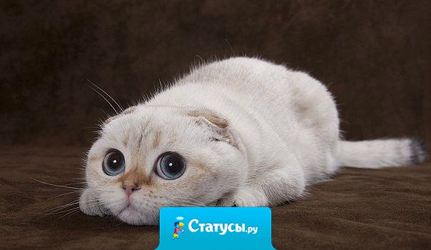 Так выглядит женщина, которая уже что - то придумала.