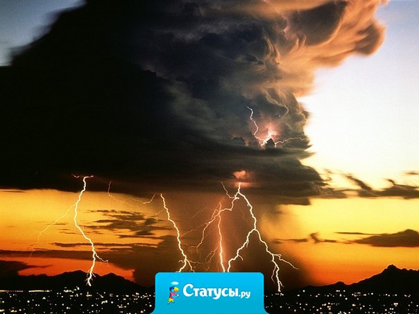 Самая высокая степень человеческой мудрости — это умение приспособиться к обстоятельствам и сохранять спокойствие вопреки внешним грозам.