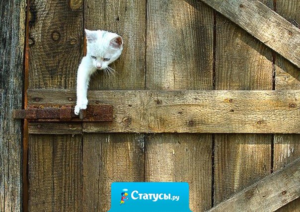 Из любой ситуации есть выход. Главное, найти верный.