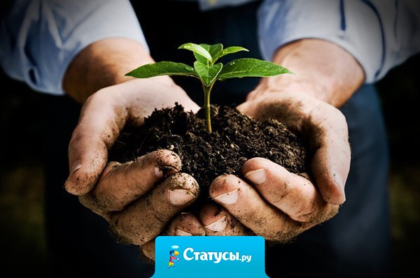 Ждать успеха без усердной работы равносильно тому, чтобы ждать урожая, если ничего не было посеяно.