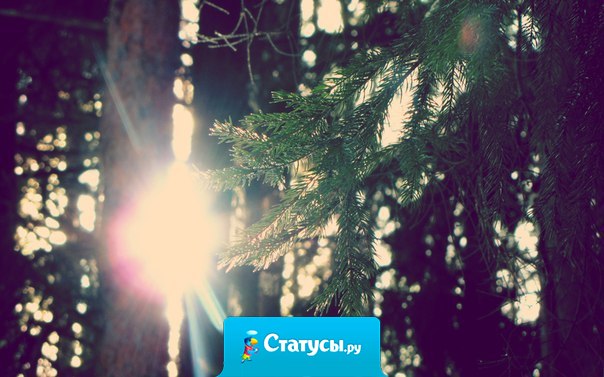 Искусство быть мудрым состоит в умении знать, на что не следует обращать внимания.