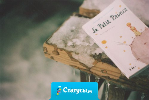 Самое бюджетное путешествие — уехать в книгу.