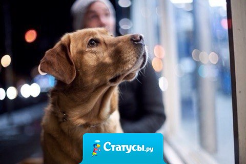 Мы не столько нуждаемся в помощи друзей, сколько в уверенности, что мы её получим.